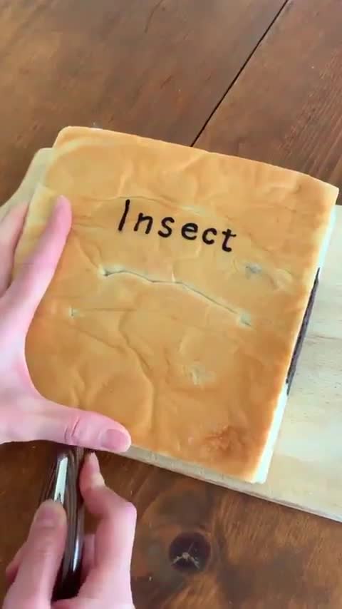 undefined - Imgur (7)