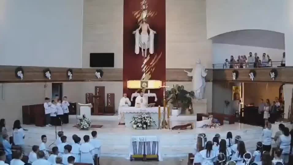 Watch "like a boss" on Streamable.