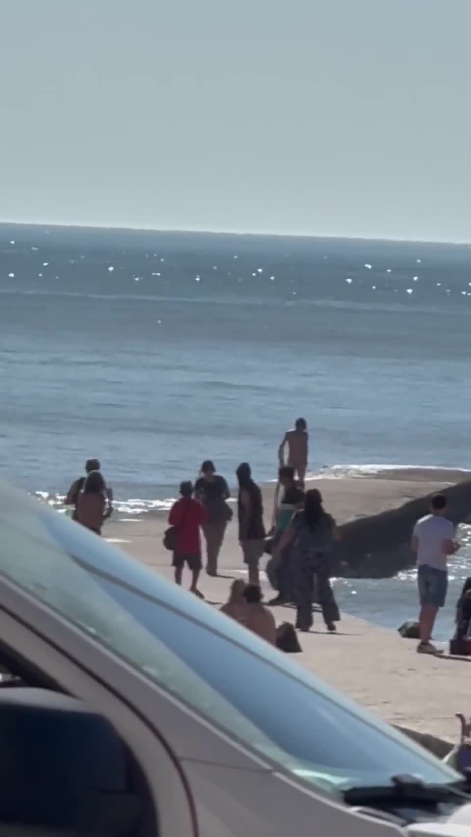 Un hombre fue detenido tras correr desnudo por la peatonal de mar del  plata. - Embed
