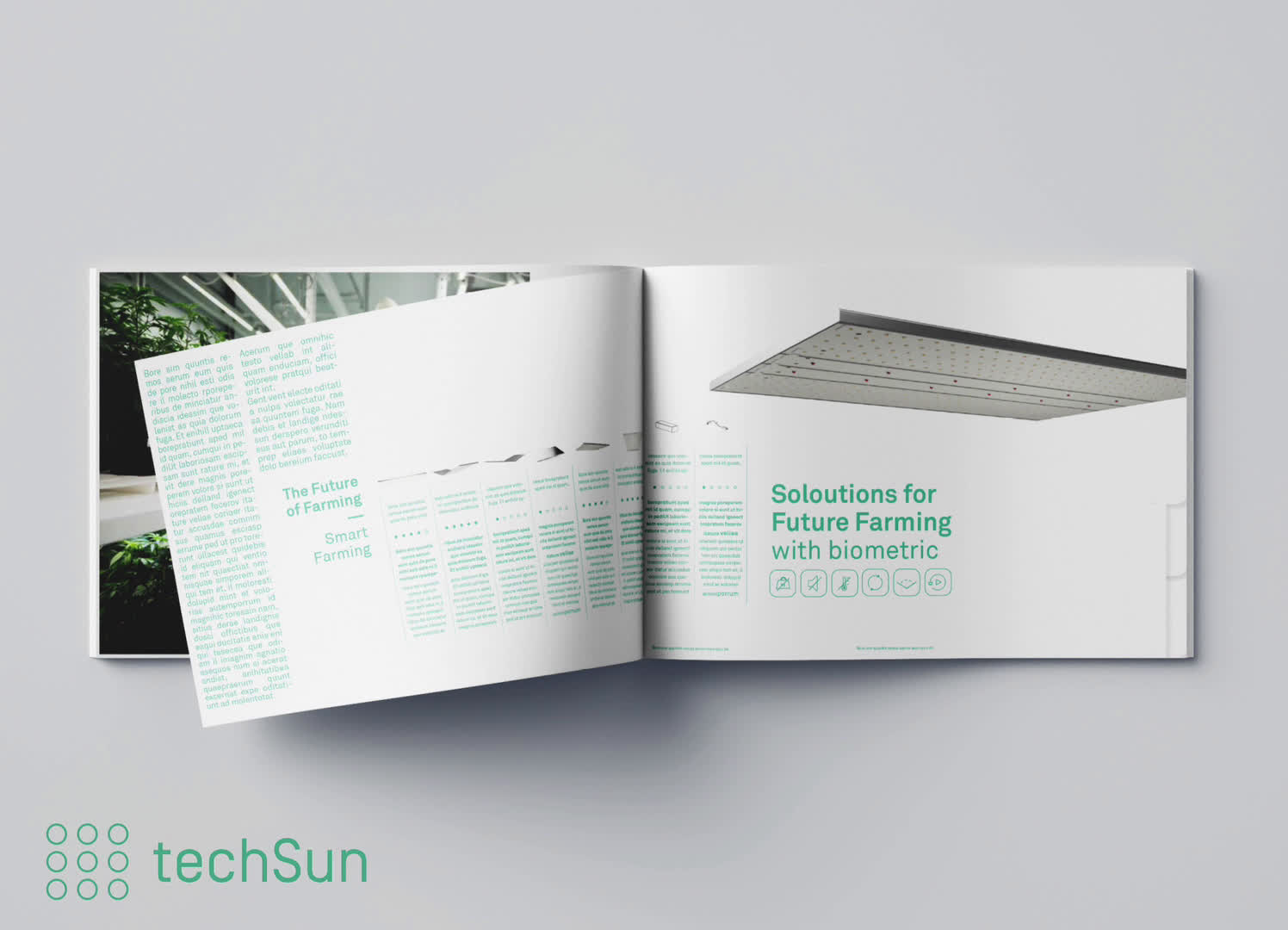 Techsun Complete Small