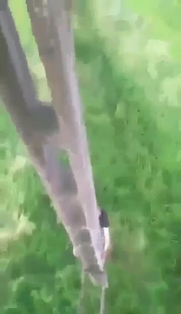 Watch "1680882073_ef2_36.mp4" on Streamable.