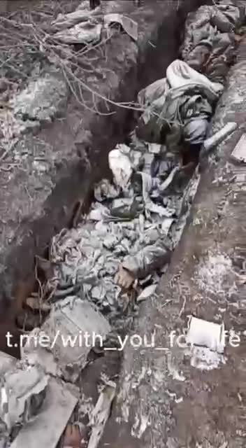 streamable.com