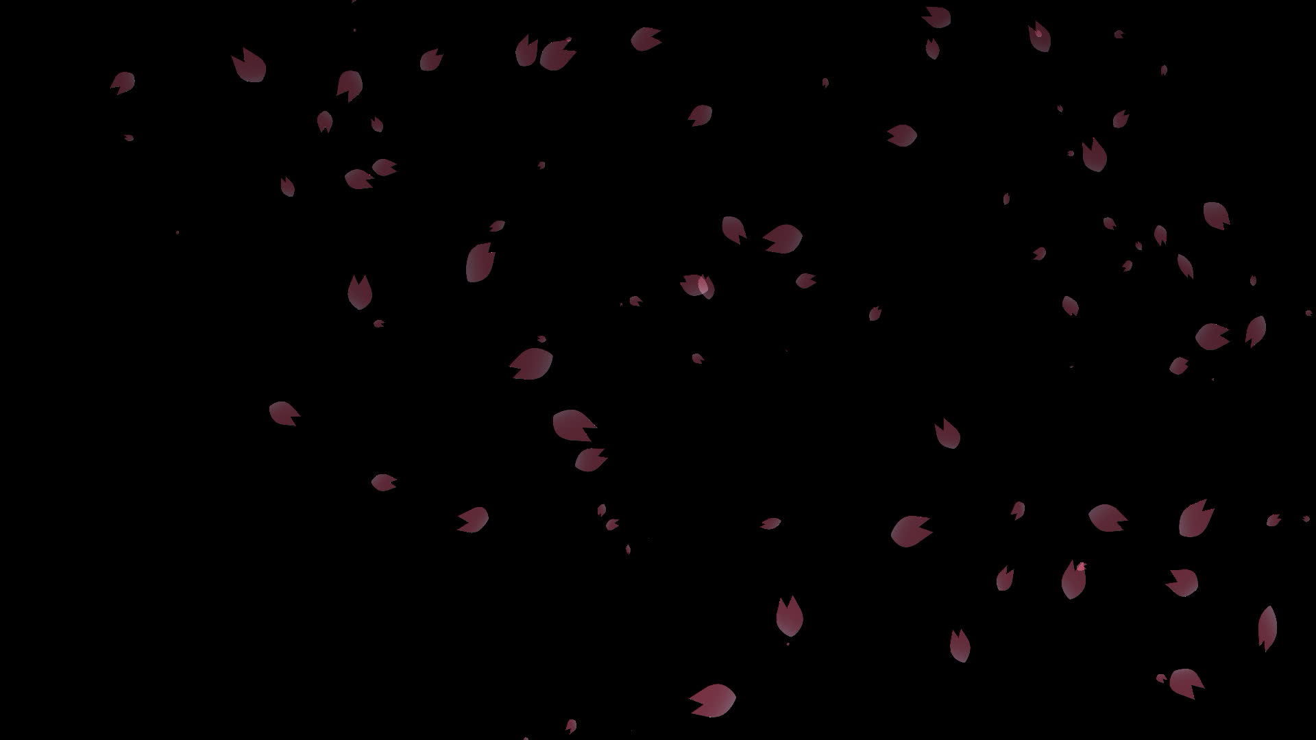 桜の花びらが舞い落ちる無料動画素材 映像制作向け D Elf 桜の花びらが舞い落ちる無料動画素材 映像制作向け D Elf