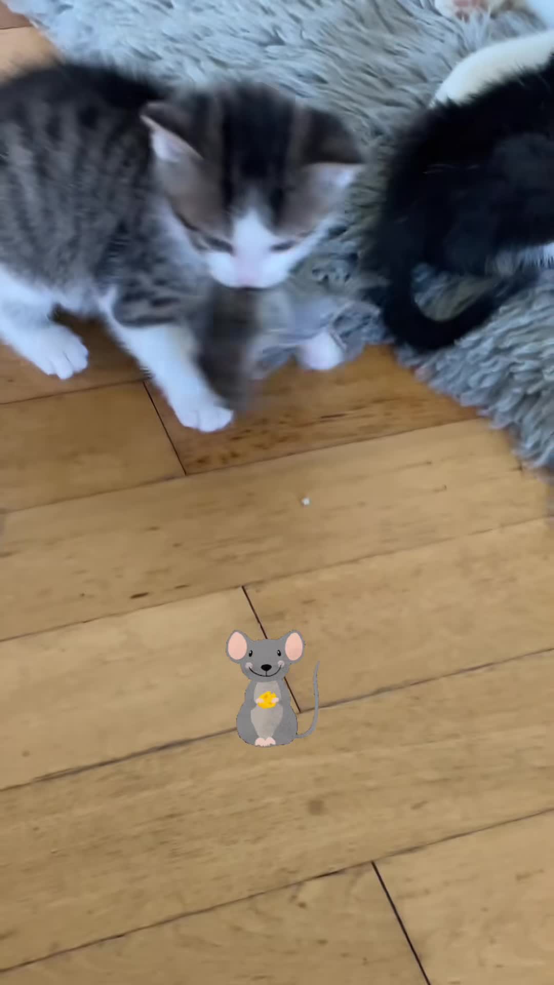 https://www.tiktok.com/@german_thinking_a/video/7499756339044830486