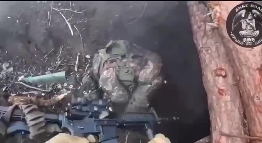 Watch this video on Streamable.