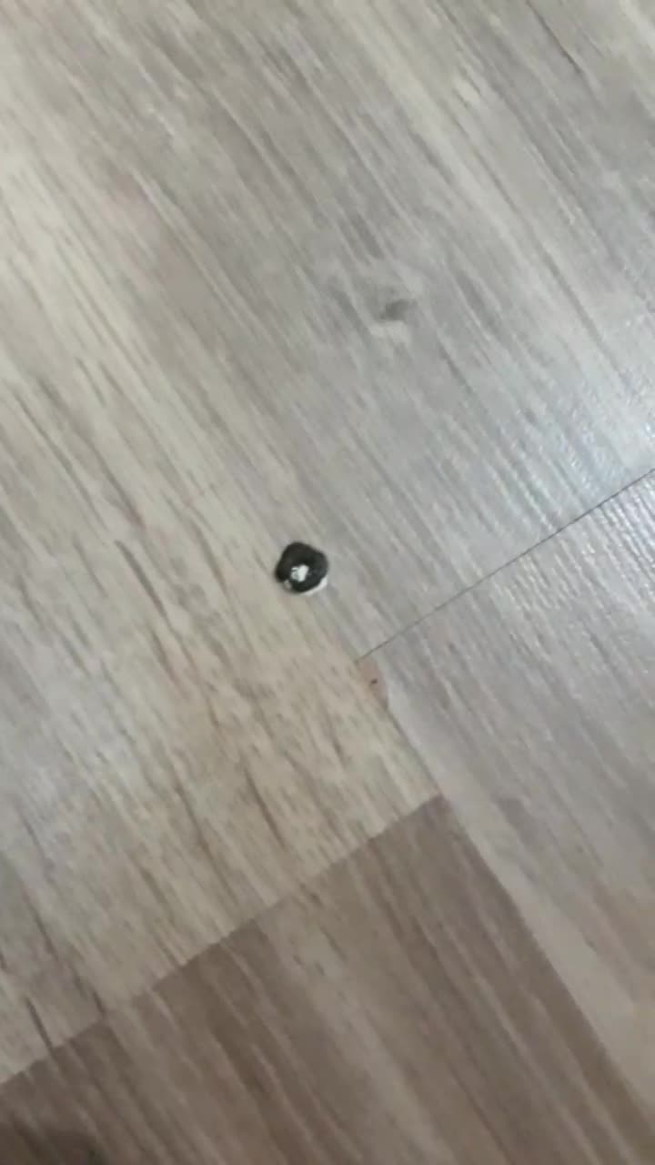 streamable.com