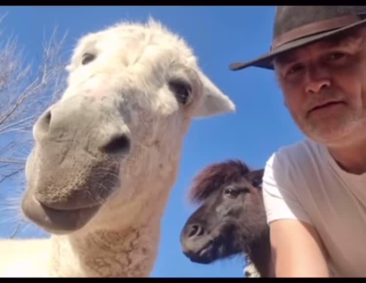 Jacobs Ridge to all the donkeys