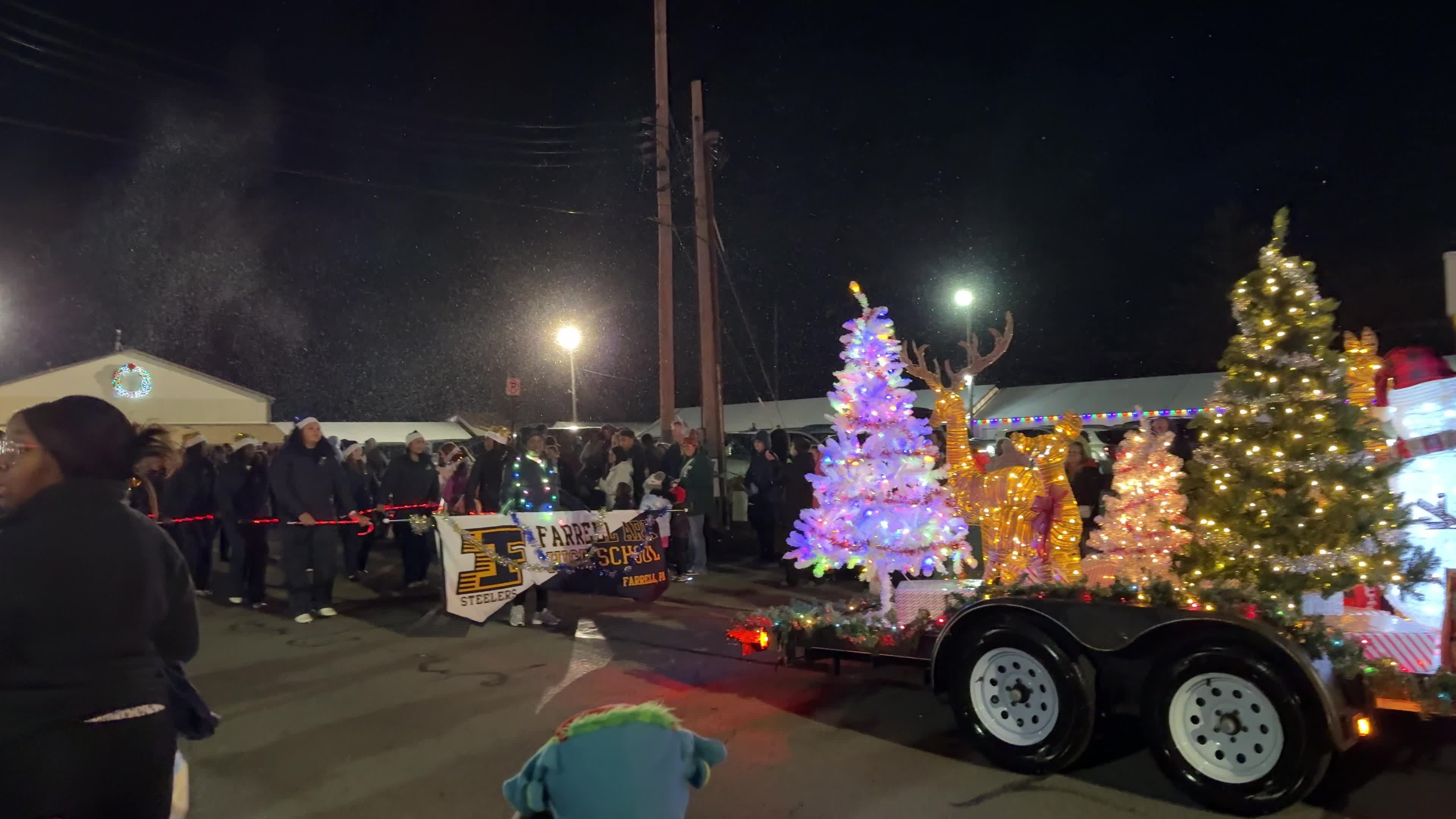 Watch 4K The 2025 Hermitage Christmas Light Up Parade In