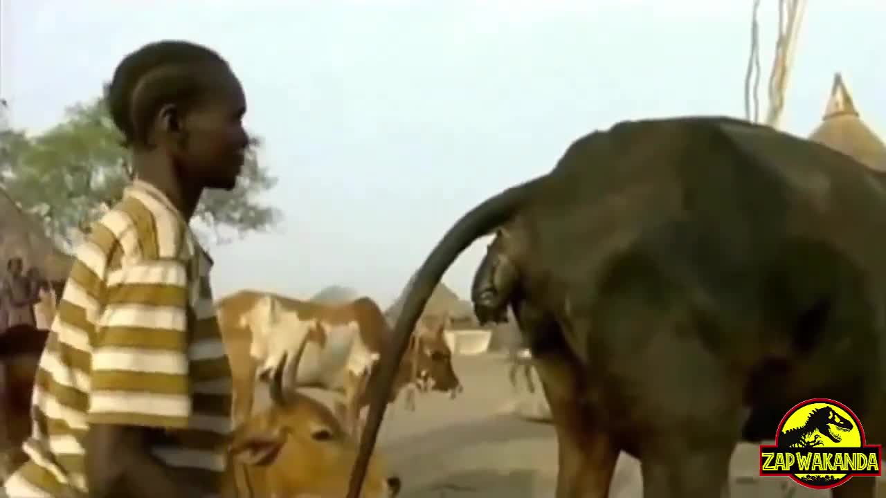 CrazyShit.com | Becoming burf (1) | Streamable