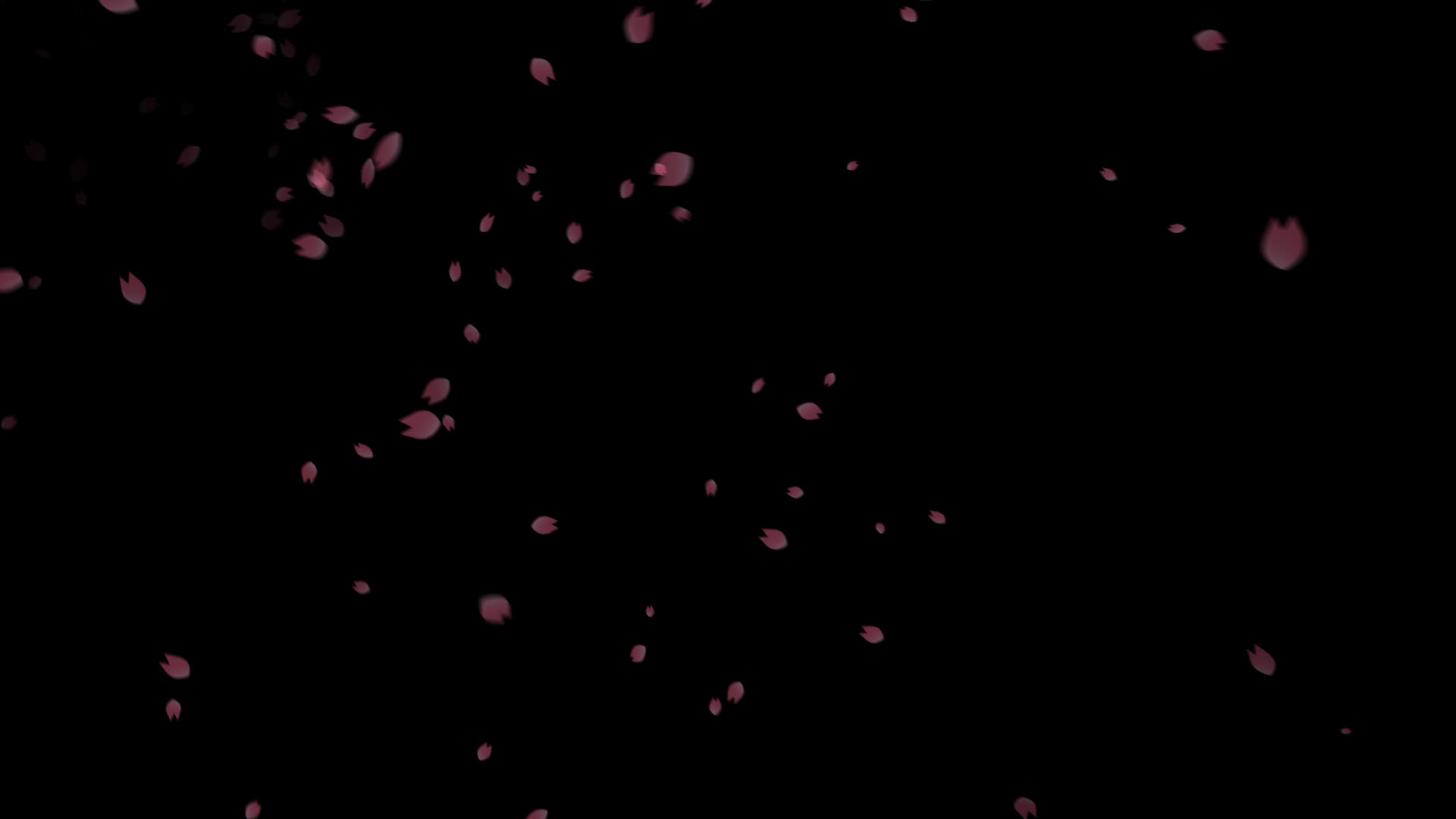 桜の花びらが舞い落ちる無料動画素材 映像制作向け D Elf 桜の花びらが舞い落ちる無料動画素材 映像制作向け D Elf