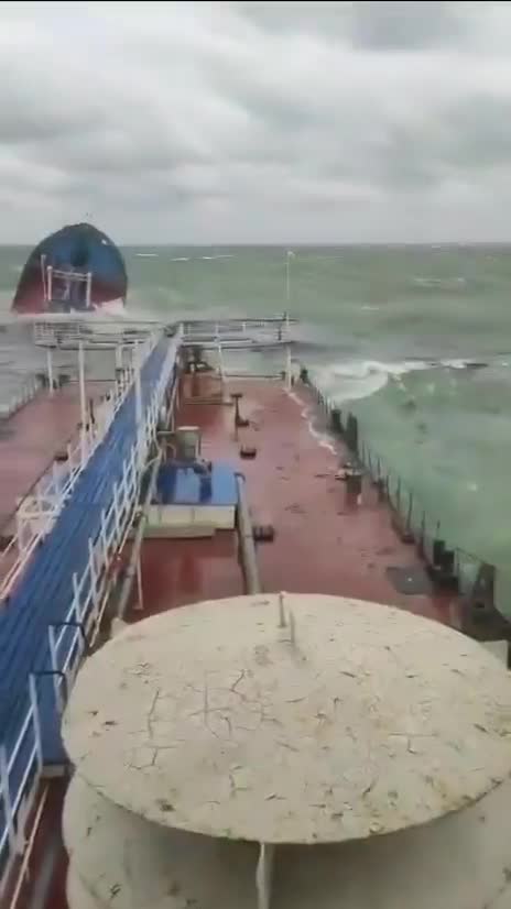 ssstwitter.com_1734262028831