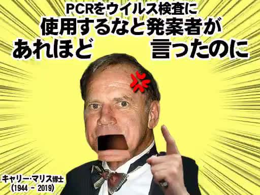 男より女のほうが強いの ５歳にして終わってる女の子 プリキュアになって戦う勘違い少女たち 日本の面影