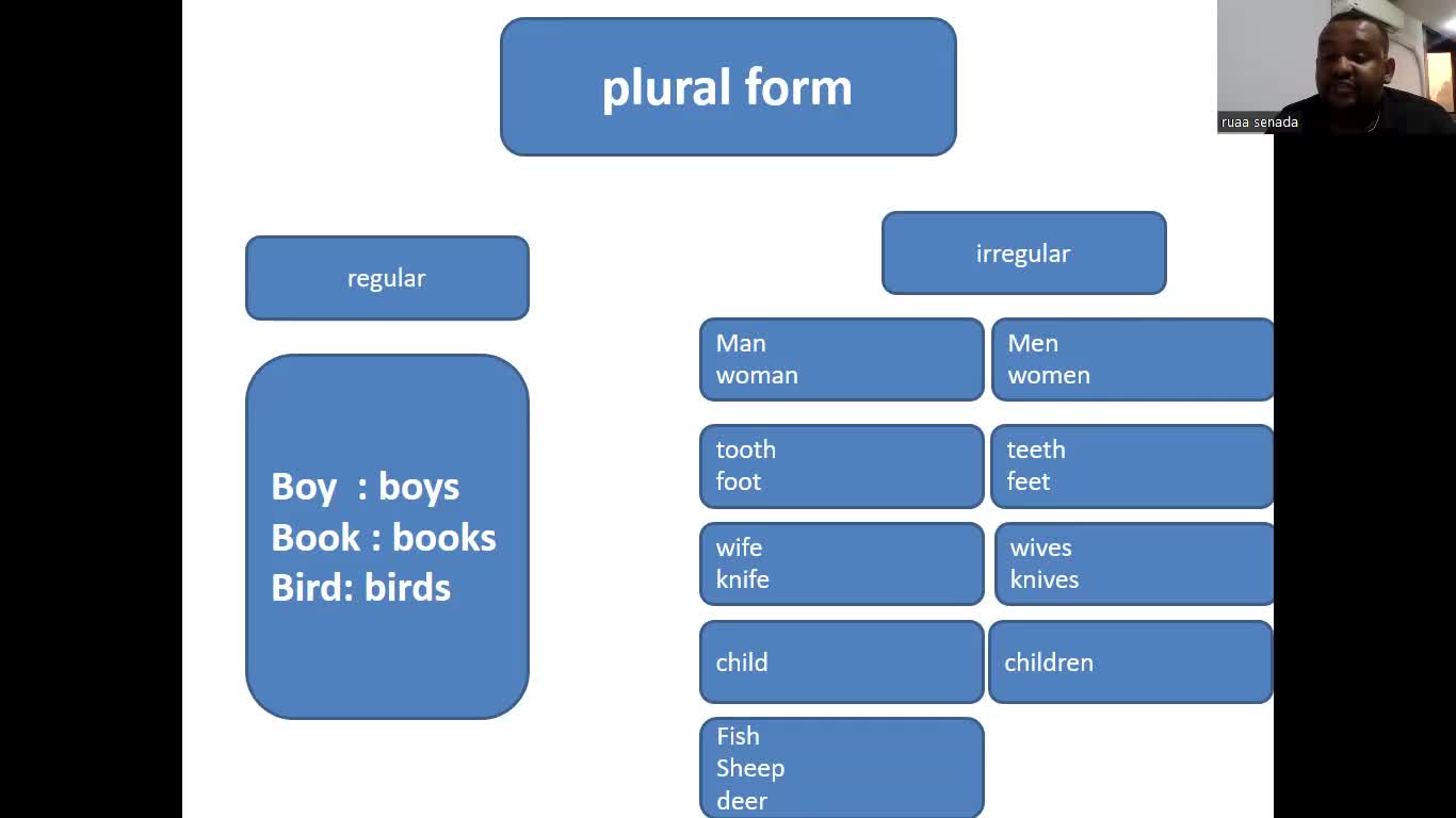 Watch nouns grade 6 Streamable