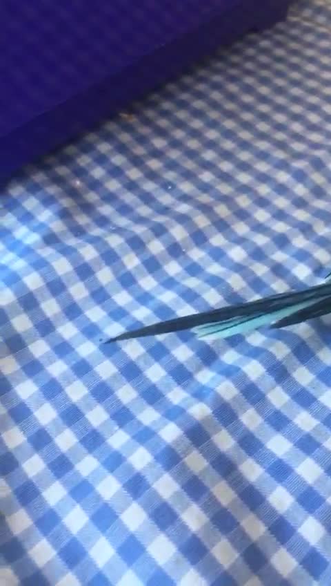 streamable.com