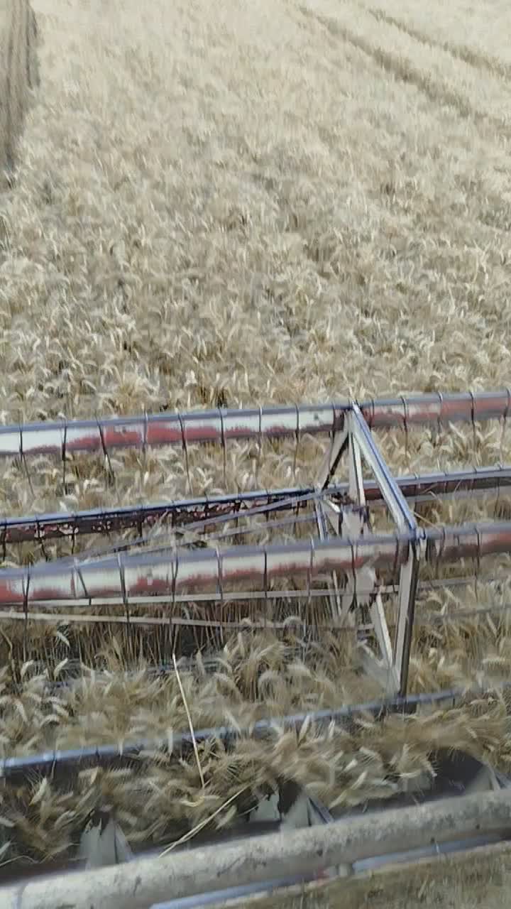 streamable.com