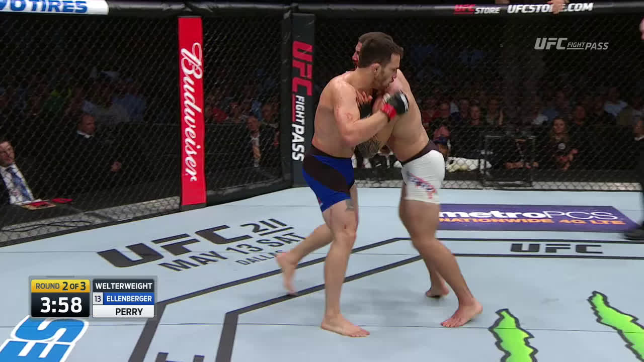 perry-vs-ellenberger