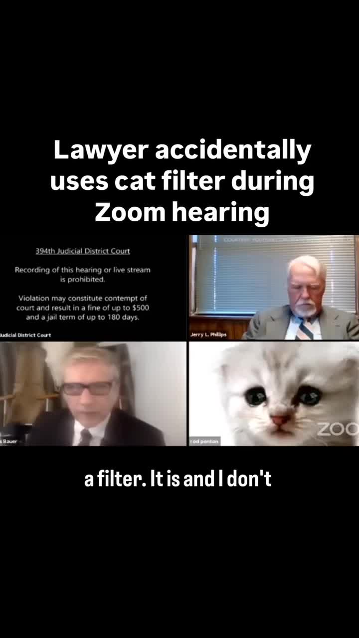 Watch this video on Streamable.