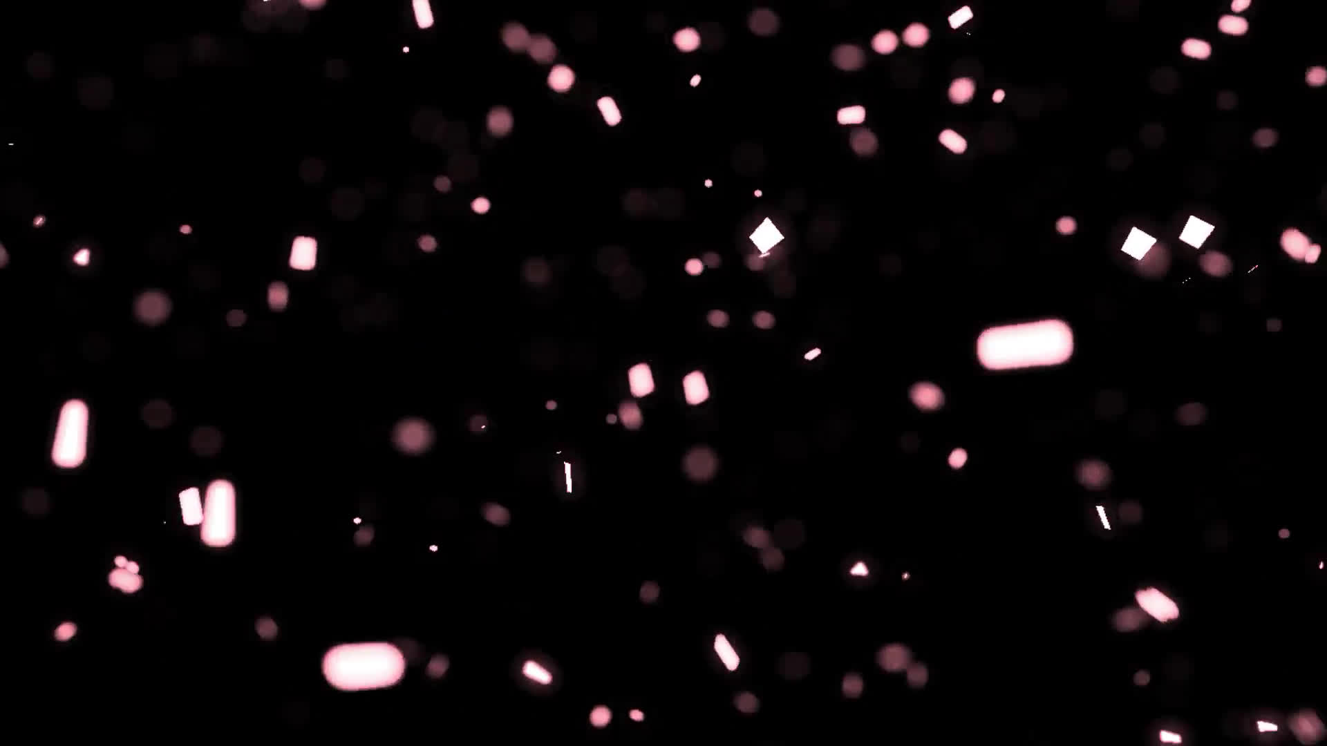 桜の花びらが舞い落ちる無料動画素材 映像制作向け D Elf 桜の花びらが舞い落ちる無料動画素材 映像制作向け D Elf