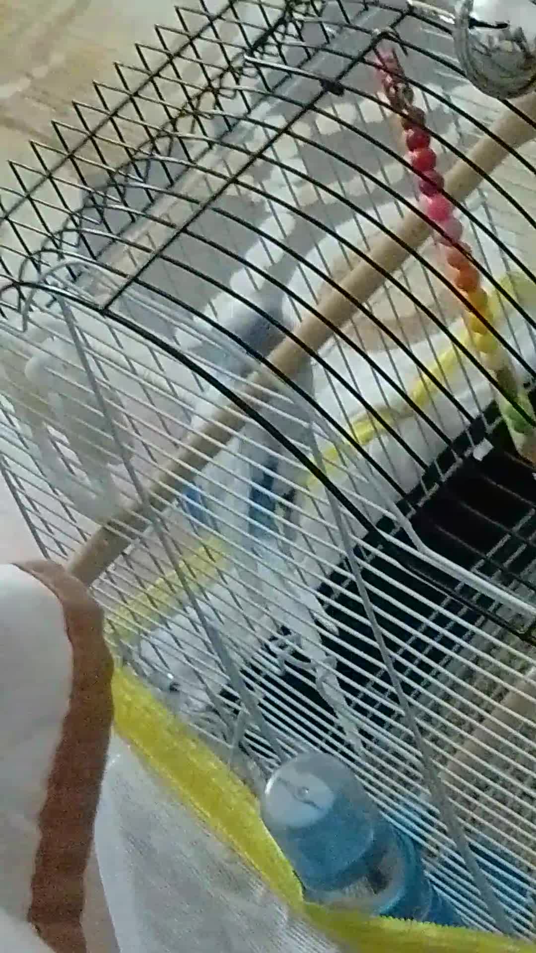 streamable.com