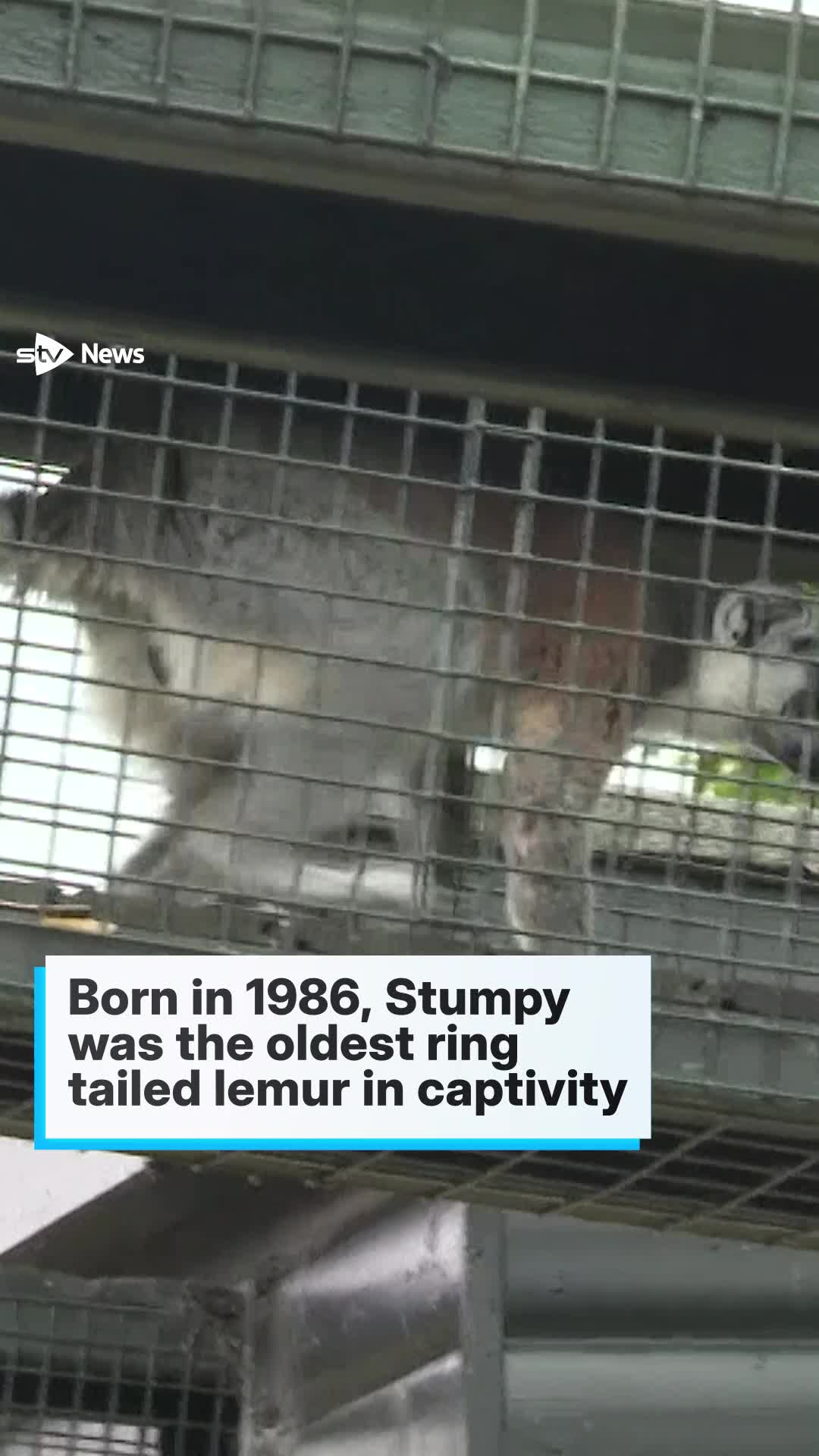 Watch NEWS_250813_STUMPY_9X16 | Streamable