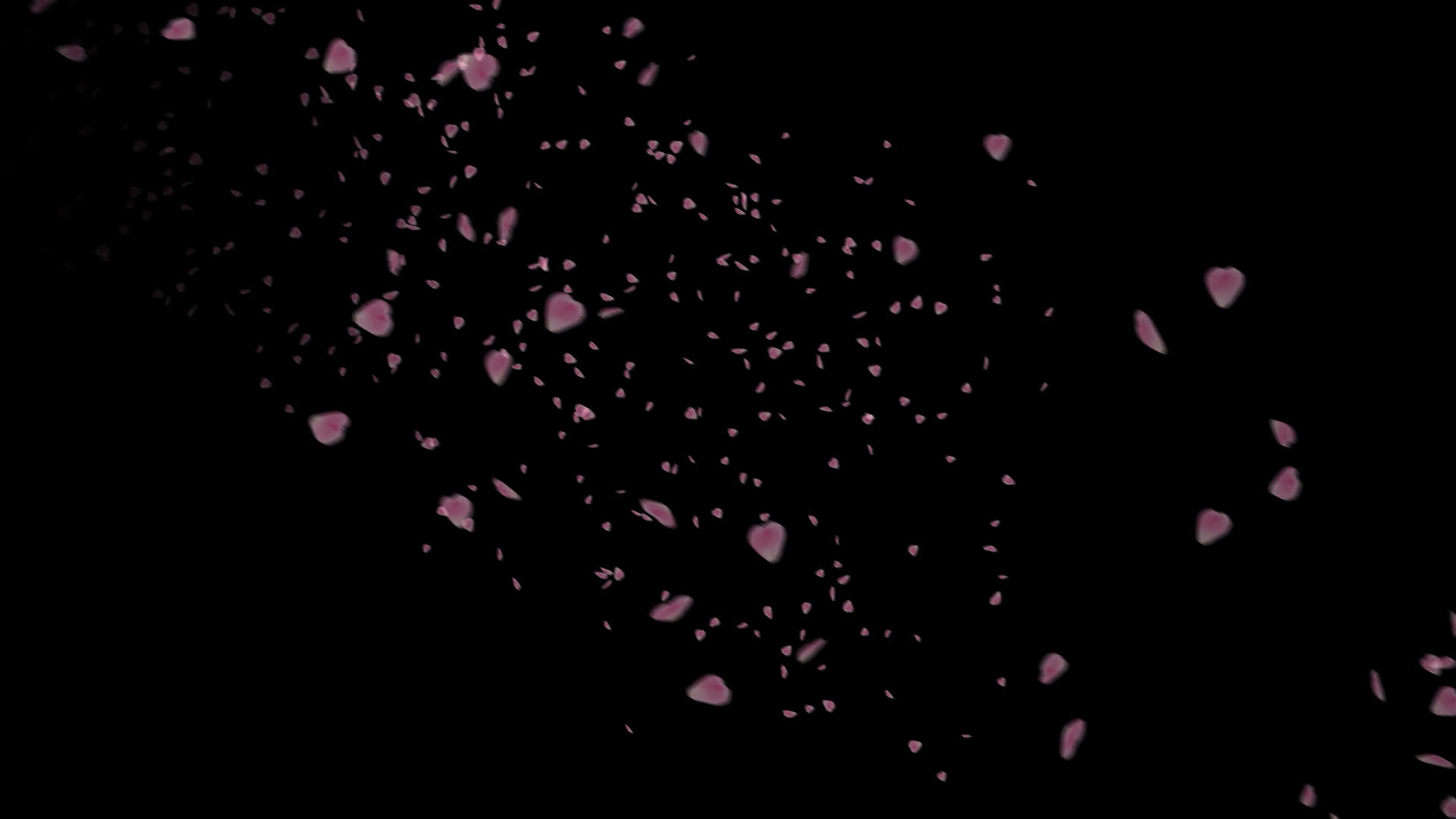 桜の花びらが舞い落ちる無料動画素材 映像制作向け D Elf 桜の花びらが舞い落ちる無料動画素材 映像制作向け D Elf