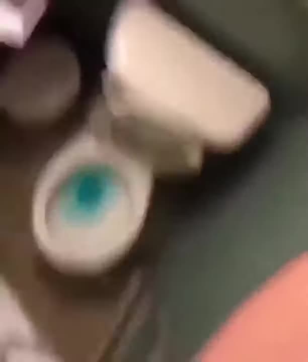 ladder shitting | Streamable
