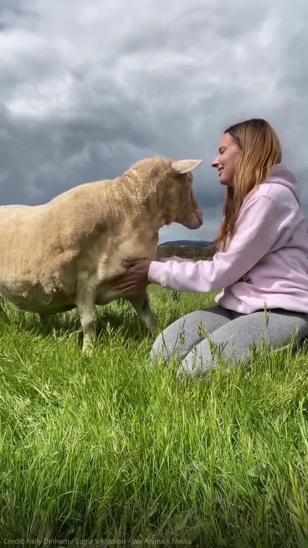 An9fZ5qW3ZI3gp8skRbeeZf25ZVKjJ5fqNktrDsHXJFVV2YIS34IIXvYiUhO89avjztdZX60AOgFOztfp2MbKn0K