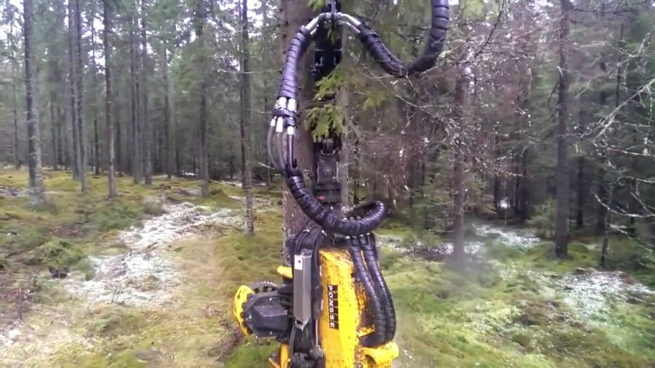 Auto Logging Machine