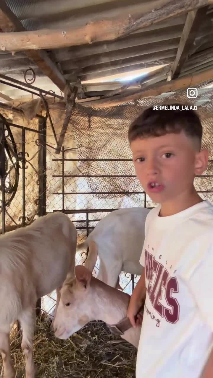 streamable.com