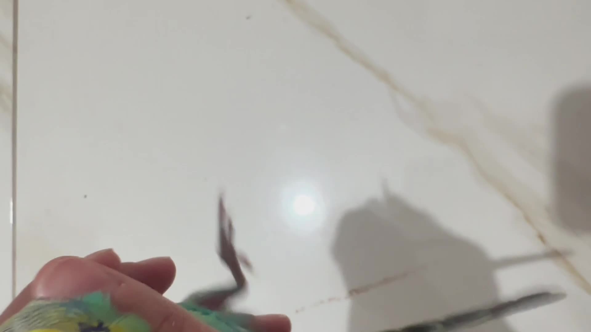 streamable.com