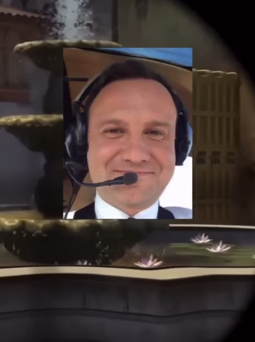 Watch this video on Streamable.