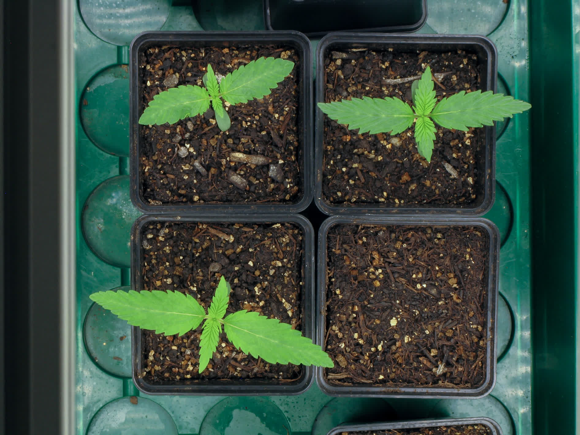 VT8 TimeLapse