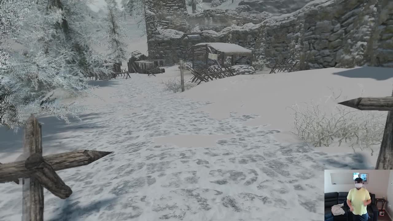 I got Skyrim VR to kind of work with Hand and Natural Locomotion :