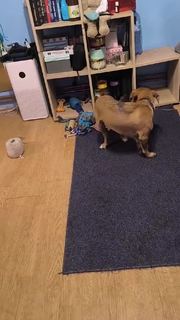 e9fbd971-a2aa-4a65-941e-81612953bc2a