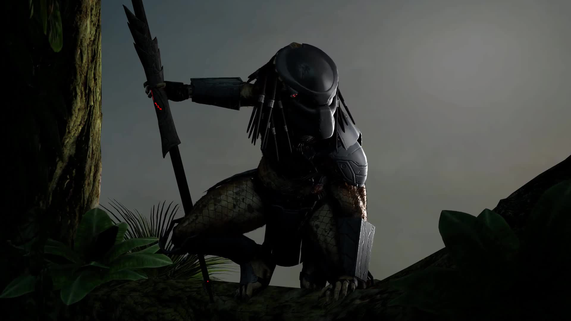 Predator live