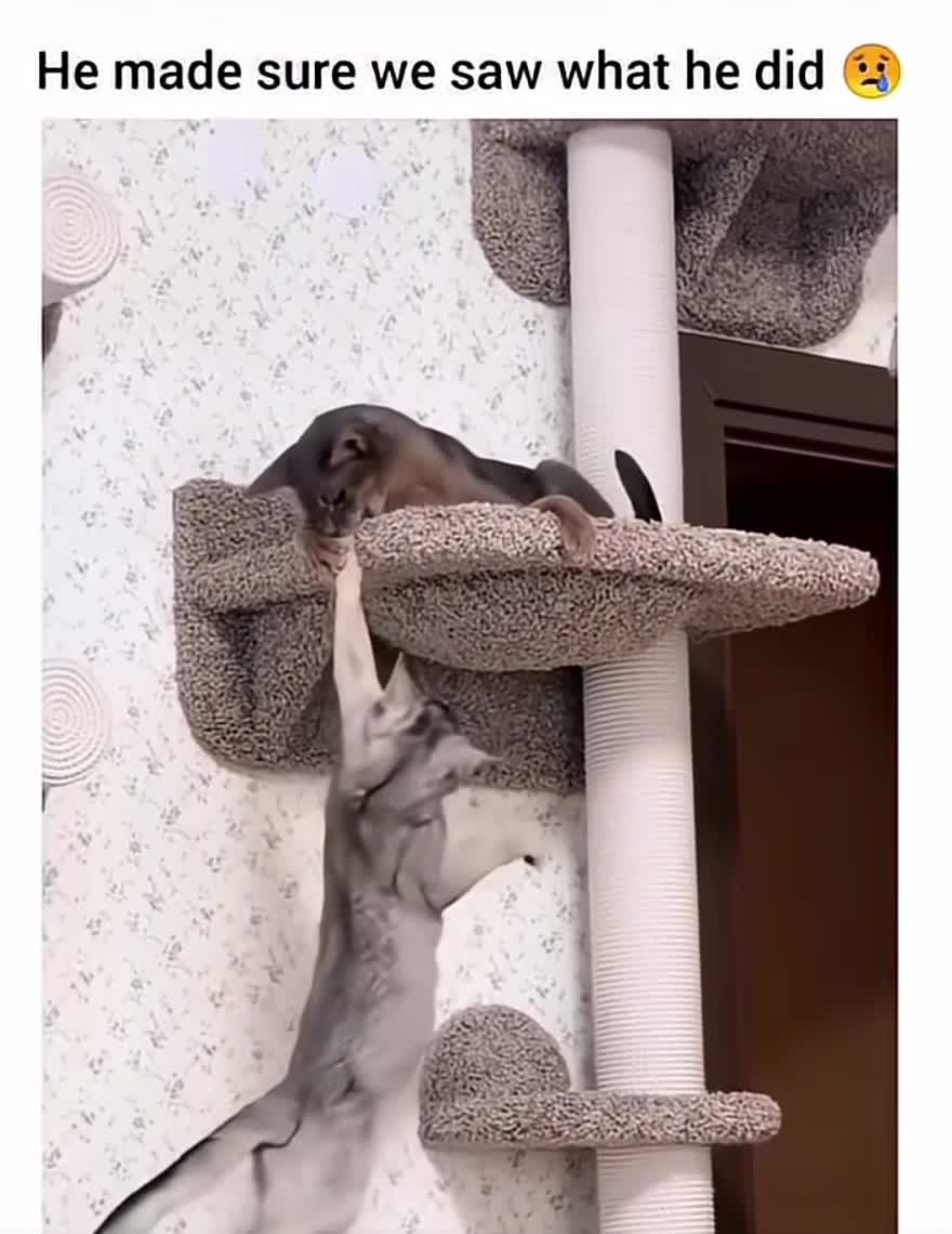 Nagrywanie 2025-09-03 195009