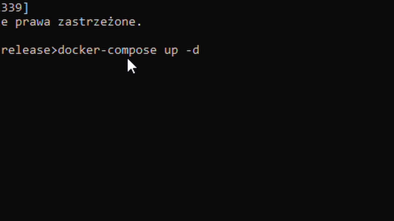 Watch "docker-compose up" on Streamable.