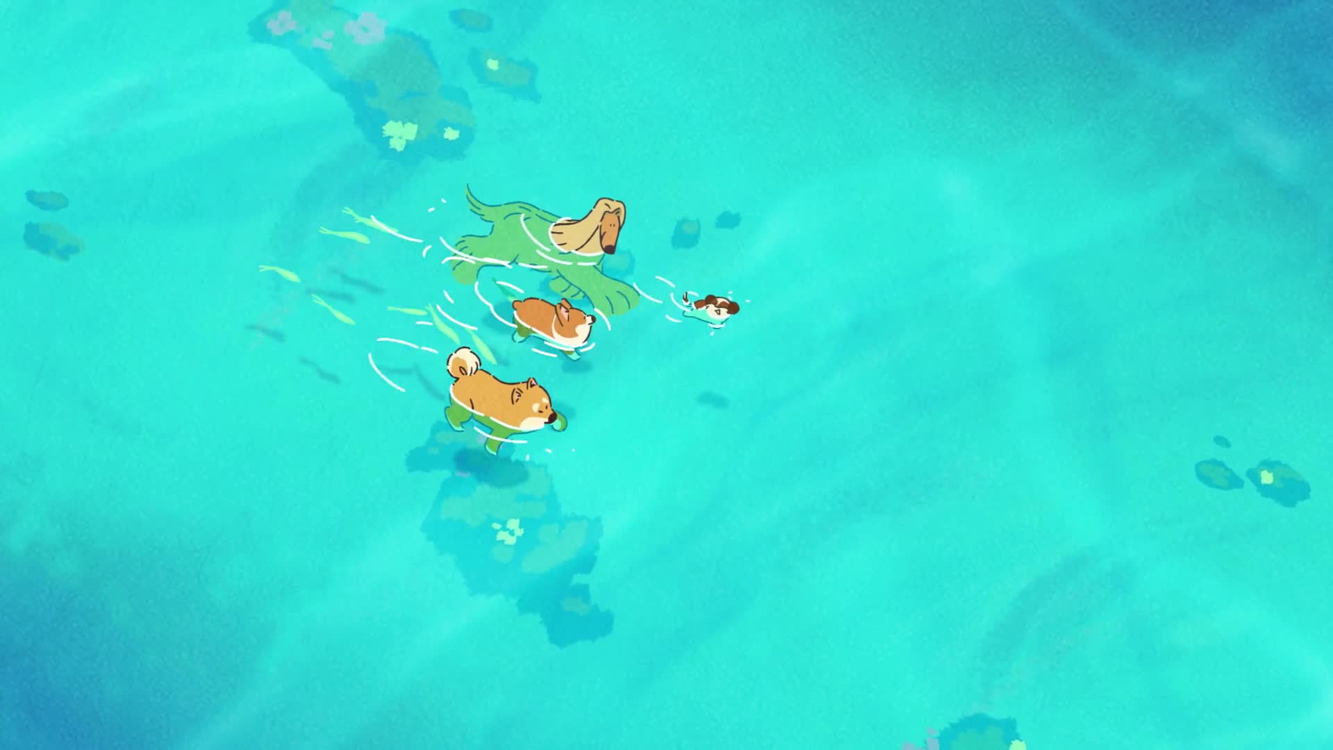 Cute Corgi Dogies Swimming Live Wallpaper - Embed