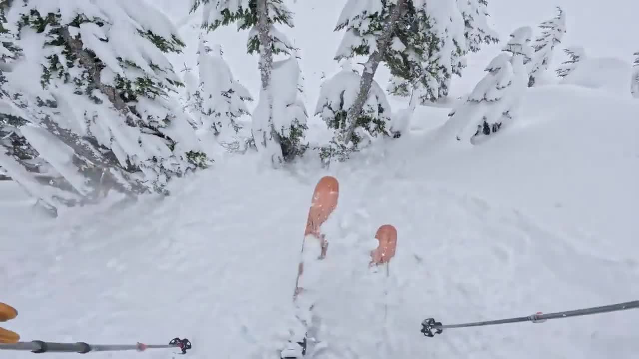 Watch "rapidsave.com_-nwt29d6su3ra1" on Streamable.