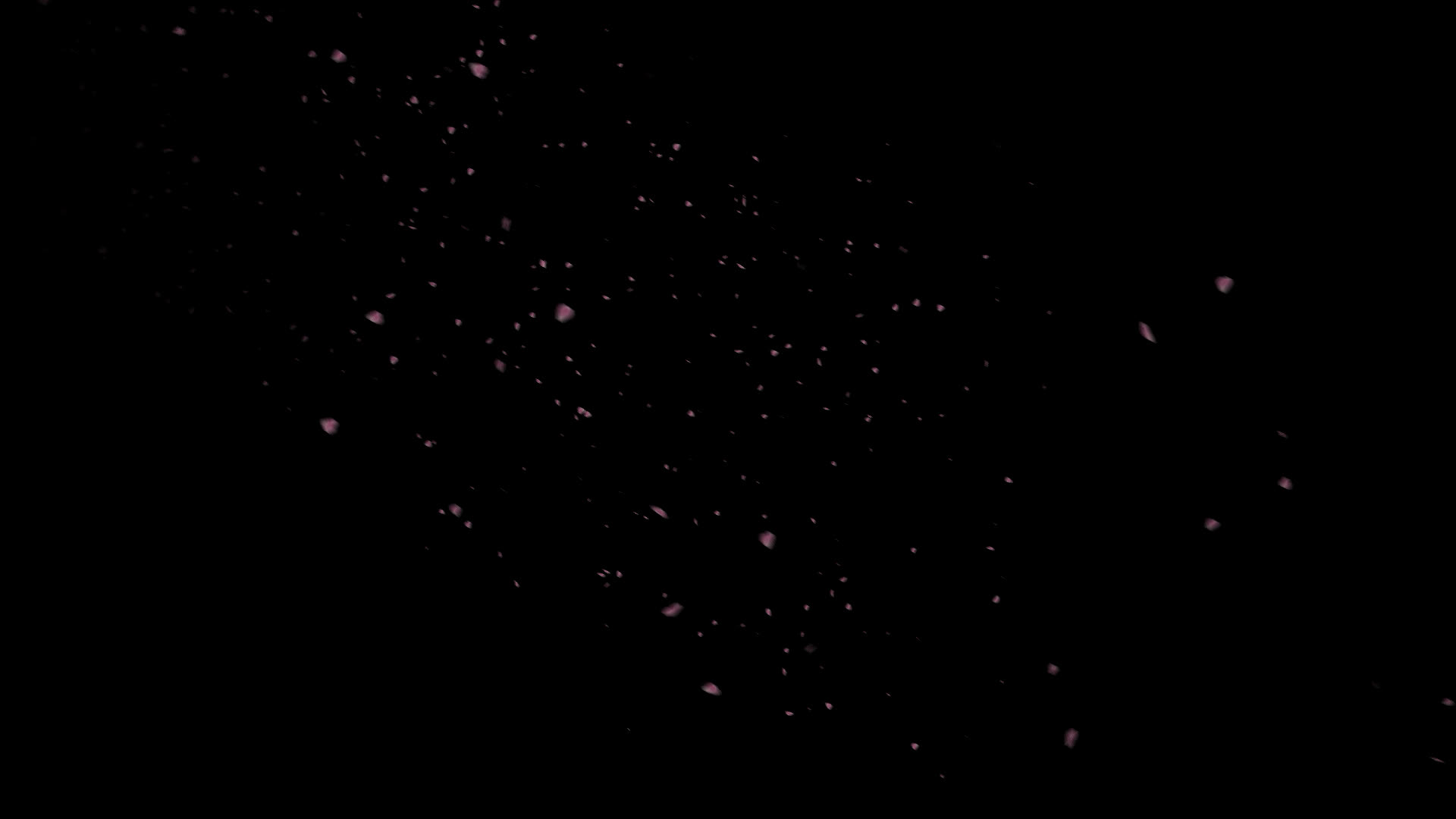 桜の花びらが舞い落ちる無料動画素材 映像制作向け D Elf