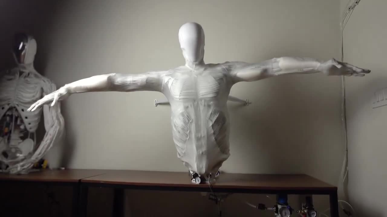 rapidsave.com_clone_robotics_torso_2_with_910_muscle_fibers_and-g6sdmm42xf5e1