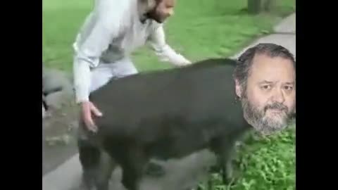 streamable.com