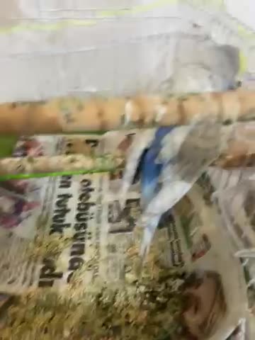streamable.com