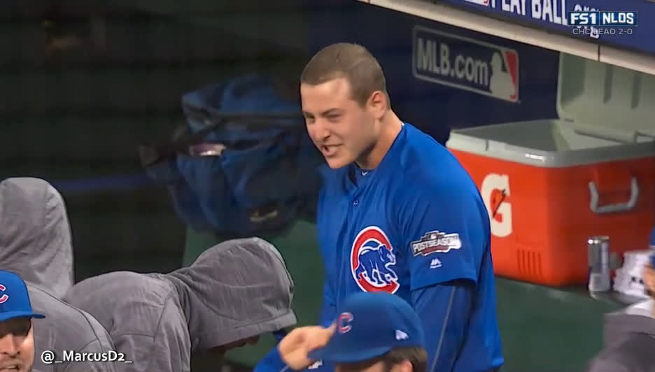 Cubs players after Jake homer