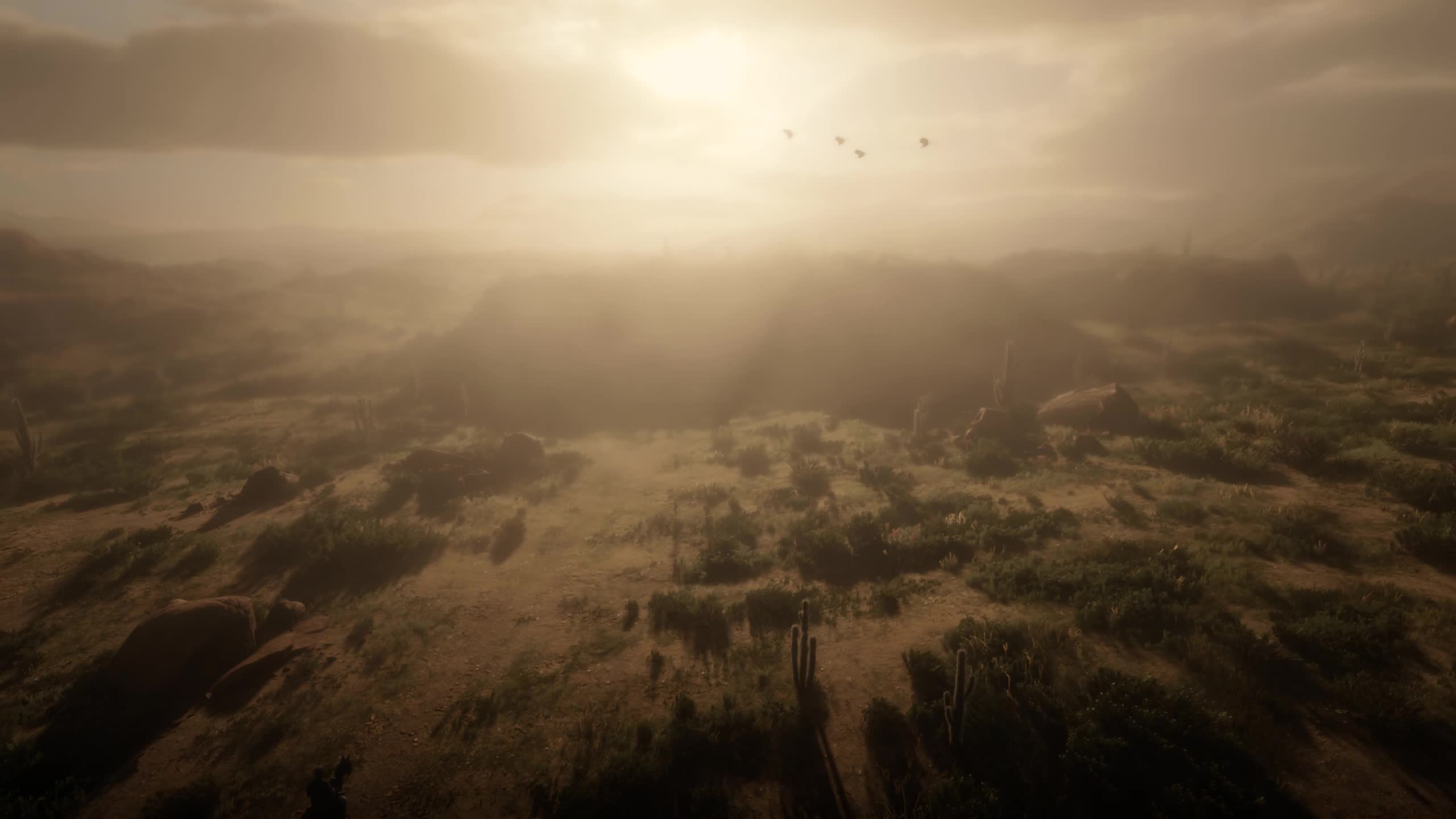 Red Dead Redemption 2 dust