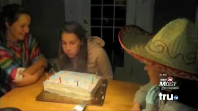 Happy Birthday Cake Dog Smash GIF | GIFDB.com