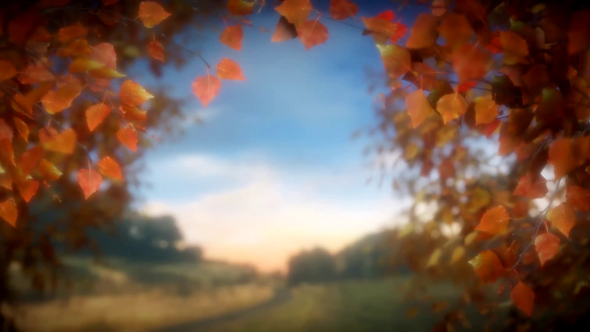 Fall Moving Background Falling Autumn Leaves Animated Wallpaper