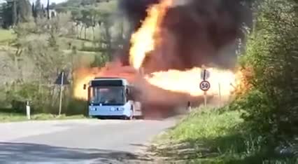 Watch this video on Streamable.