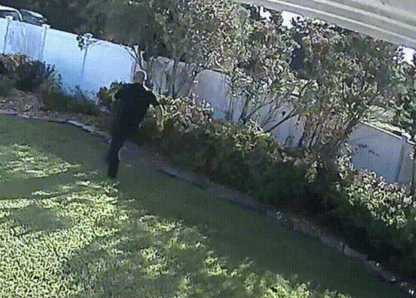 1bcad5bc70f30607aa79fae1f0183c7a41e2edab712ab4346af79764840baed1