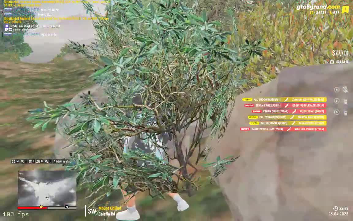 streamable.com